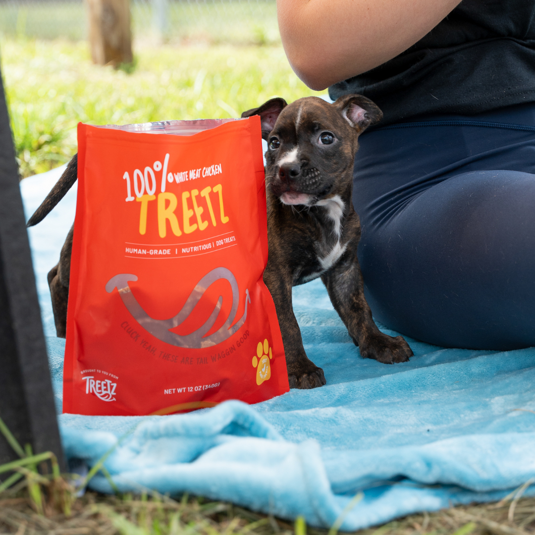 Are Single Ingredient Dog Treats Better for Your Dog?