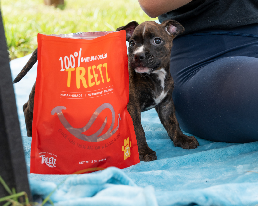 Are Single Ingredient Dog Treats Better for Your Dog?