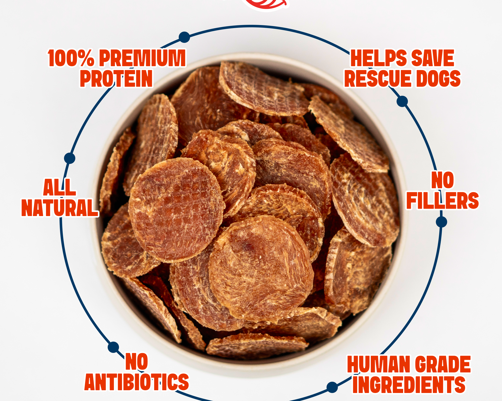 How Dogs Really Taste Their Treats (It’s Not What You Think)