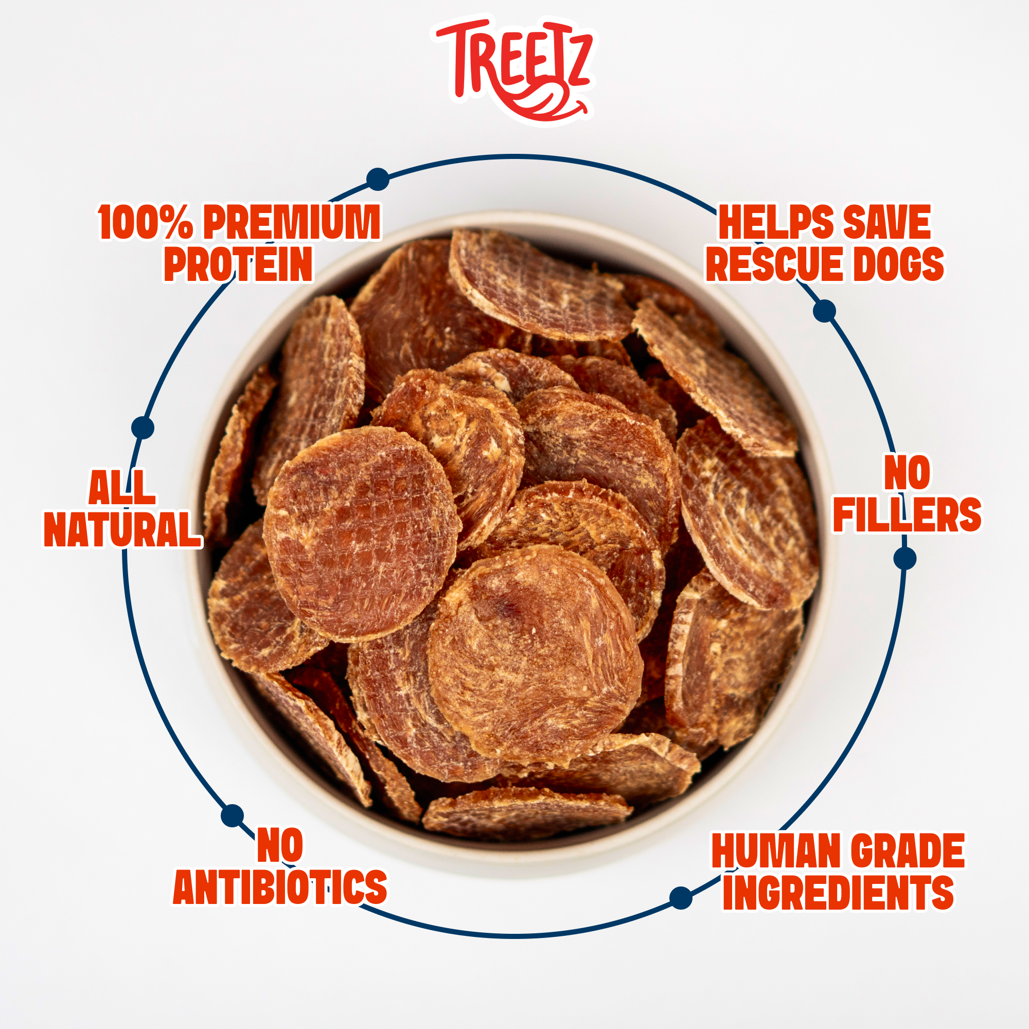 How Dogs Really Taste Their Treats (It’s Not What You Think)